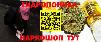 гидропоника Гусь-Хрустальный