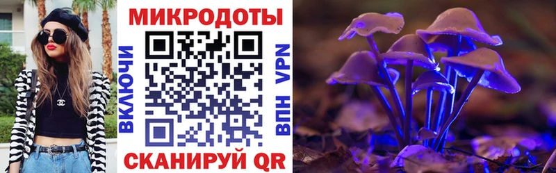 Галлюциногенные грибы Cubensis  Кудымкар 