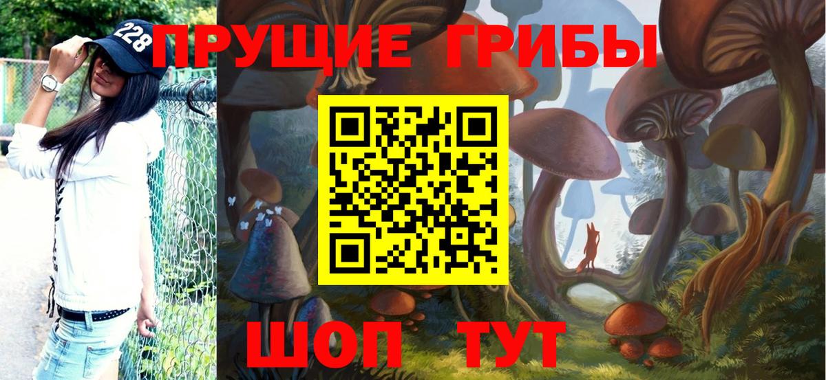 Галлюциногенные грибы GOLDEN TEACHER Кудымкар