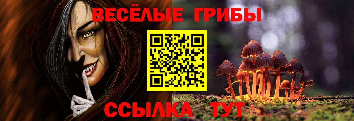 купить закладку  Вход с VPN  Кудымкар  Псилоцибиновые грибы GOLDEN TEACHER 