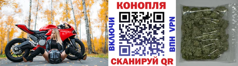 Шишки марихуана марихуана Кудымкар